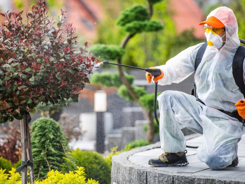 Çal Haşere İlaçlama